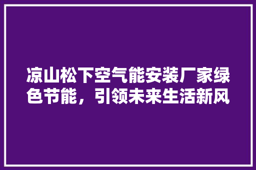 凉山松下空气能安装厂家绿色节能，引领未来生活新风尚 厨房维修