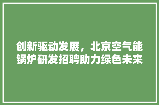 创新驱动发展，北京空气能锅炉研发招聘助力绿色未来 家电维修