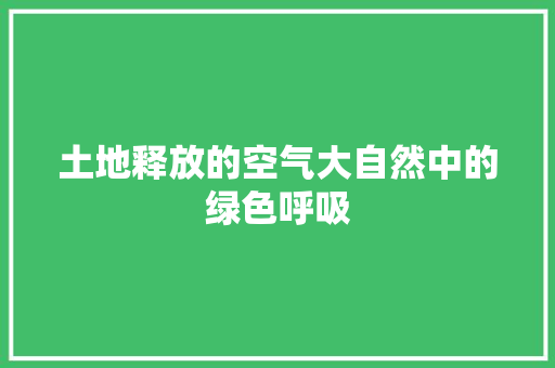 土地释放的空气大自然中的绿色呼吸
