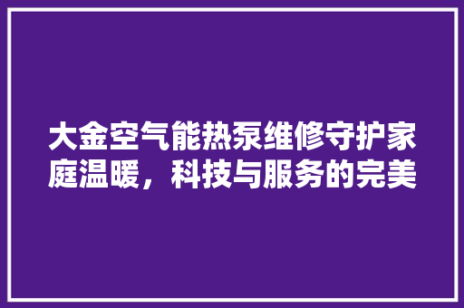 大金空气能热泵维修守护家庭温暖，科技与服务的完美结合