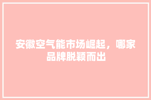 安徽空气能市场崛起，哪家品牌脱颖而出