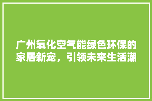广州氧化空气能绿色环保的家居新宠，引领未来生活潮流