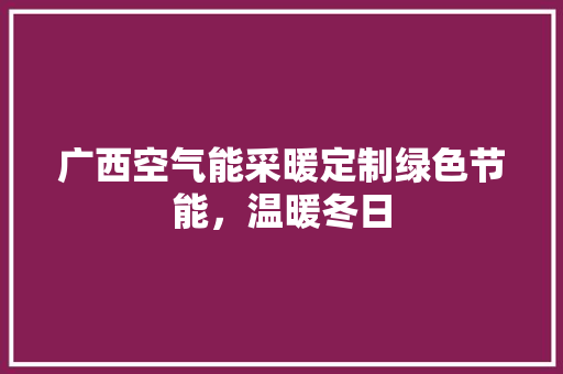 广西空气能采暖定制绿色节能，温暖冬日