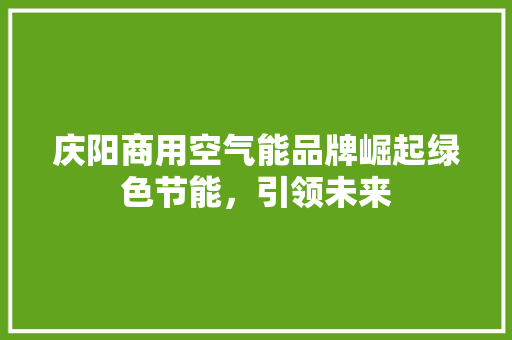 庆阳商用空气能品牌崛起绿色节能，引领未来