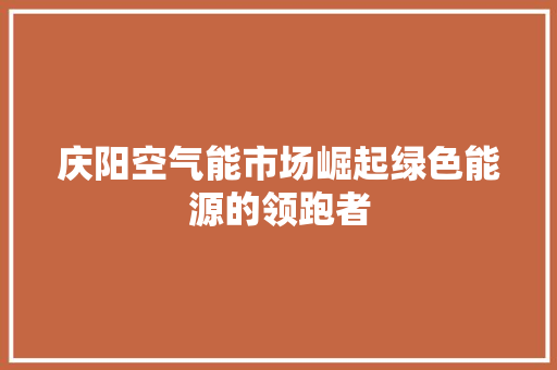 庆阳空气能市场崛起绿色能源的领跑者