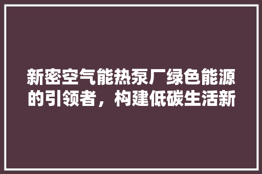 新密空气能热泵厂绿色能源的引领者，构建低碳生活新篇章