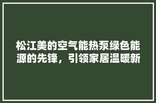 松江美的空气能热泵绿色能源的先锋，引领家居温暖新风尚