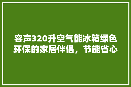 容声320升空气能冰箱绿色环保的家居伴侣，节能省心的生活新选择