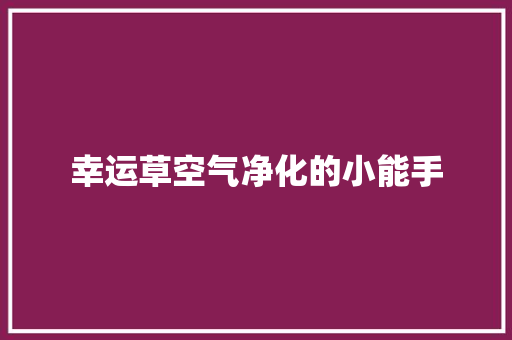 幸运草空气净化的小能手 家电维修