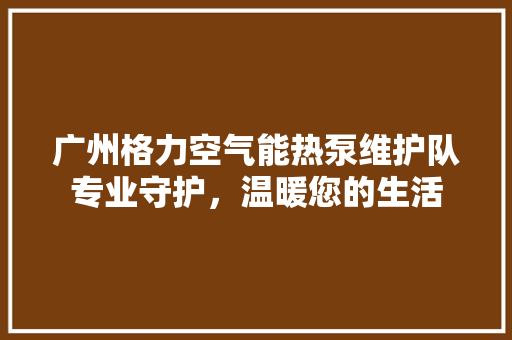 广州格力空气能热泵维护队专业守护，温暖您的生活