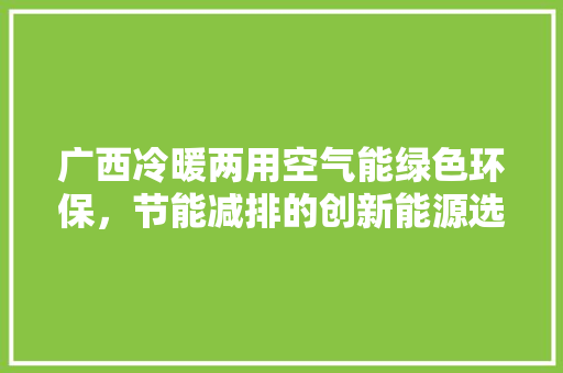 广西冷暖两用空气能绿色环保，节能减排的创新能源选择
