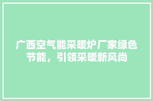 广西空气能采暖炉厂家绿色节能，引领采暖新风尚