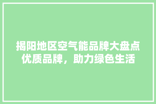 揭阳地区空气能品牌大盘点优质品牌，助力绿色生活 墙体维修