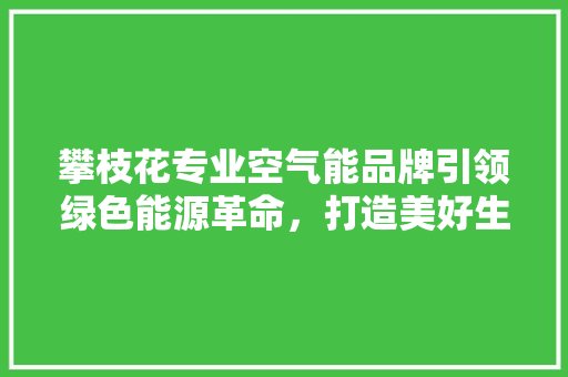 攀枝花专业空气能品牌引领绿色能源革命，打造美好生活新标杆