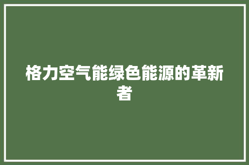 格力空气能绿色能源的革新者