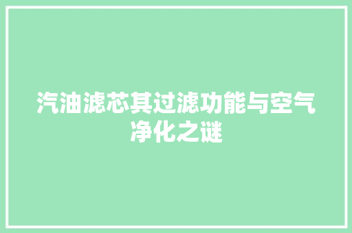 汽油滤芯其过滤功能与空气净化之谜
