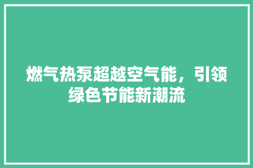 燃气热泵超越空气能，引领绿色节能新潮流