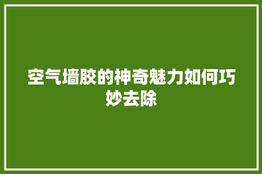 空气墙胶的神奇魅力如何巧妙去除 厨房维修