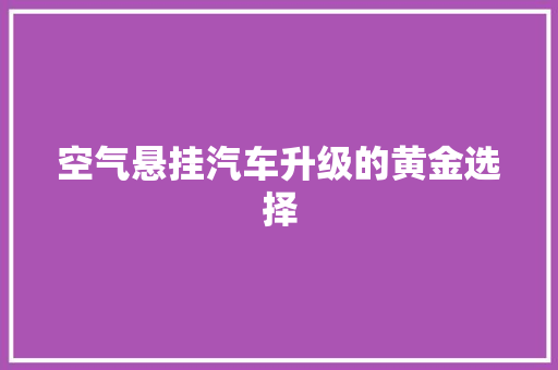 空气悬挂汽车升级的黄金选择
