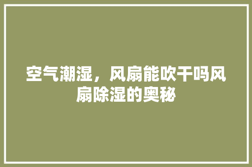 空气潮湿，风扇能吹干吗风扇除湿的奥秘