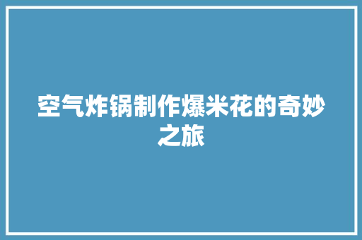 空气炸锅制作爆米花的奇妙之旅