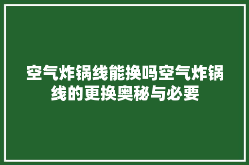 空气炸锅线能换吗空气炸锅线的更换奥秘与必要