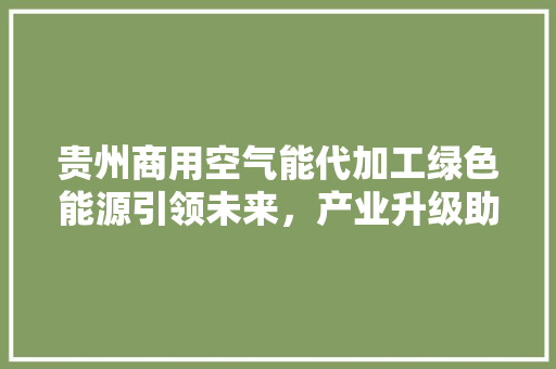 贵州商用空气能代加工绿色能源引领未来，产业升级助力发展 综合便民