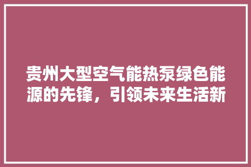 贵州大型空气能热泵绿色能源的先锋，引领未来生活新风尚