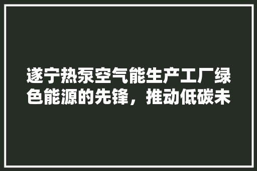 遂宁热泵空气能生产工厂绿色能源的先锋，推动低碳未来 厨房维修