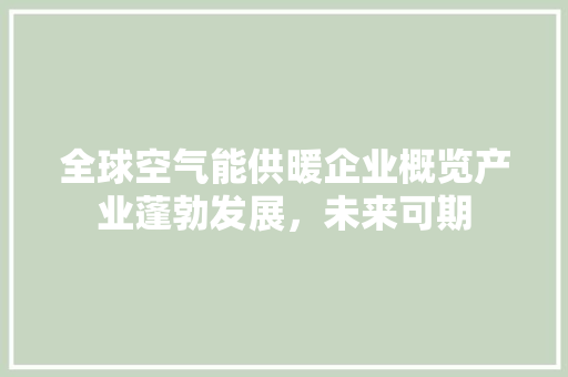 全球空气能供暖企业概览产业蓬勃发展，未来可期