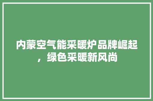内蒙空气能采暖炉品牌崛起，绿色采暖新风尚