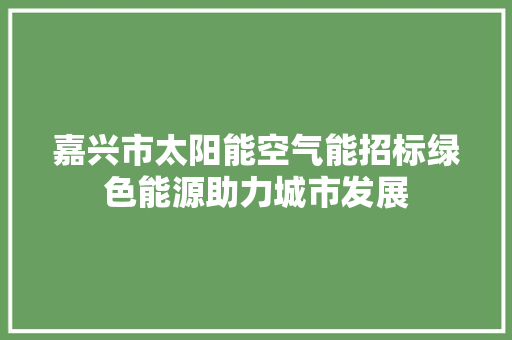 嘉兴市太阳能空气能招标绿色能源助力城市发展