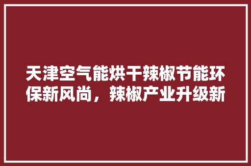 天津空气能烘干辣椒节能环保新风尚，辣椒产业升级新引擎