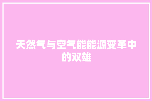 天然气与空气能能源变革中的双雄