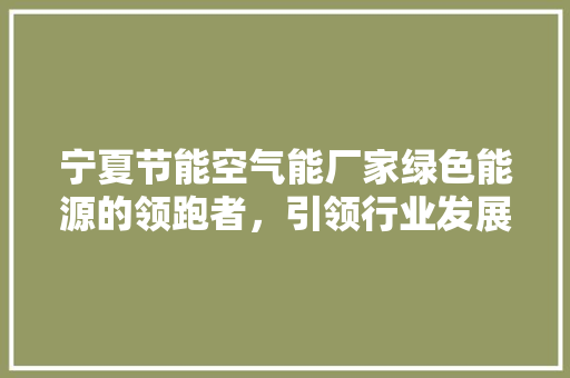 宁夏节能空气能厂家绿色能源的领跑者，引领行业发展新潮流