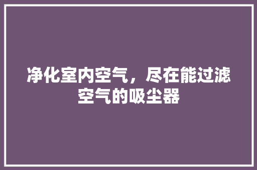 净化室内空气，尽在能过滤空气的吸尘器 综合便民