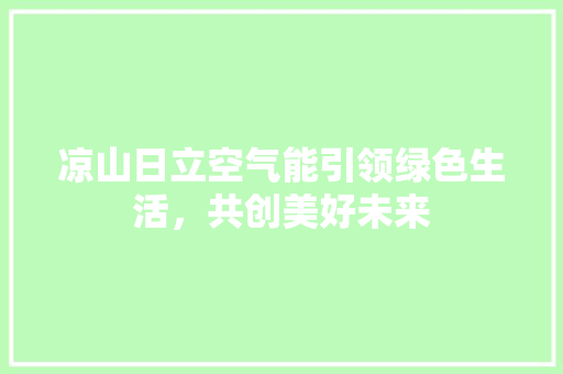 凉山日立空气能引领绿色生活，共创美好未来 厨房维修