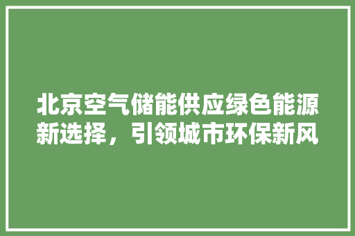北京空气储能供应绿色能源新选择，引领城市环保新风尚