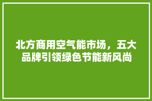 北方商用空气能市场，五大品牌引领绿色节能新风尚