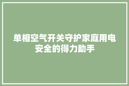 单相空气开关守护家庭用电安全的得力助手