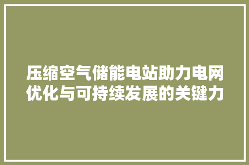 压缩空气储能电站助力电网优化与可持续发展的关键力量 家电维修