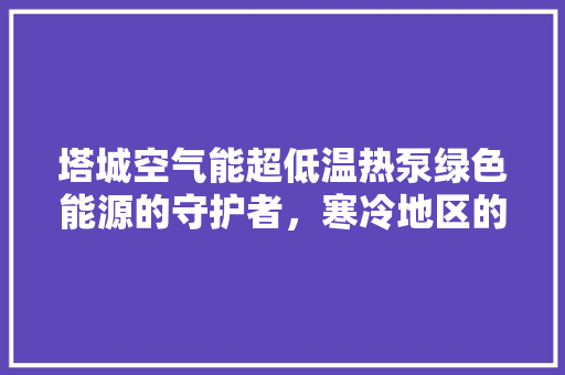 塔城空气能超低温热泵绿色能源的守护者，寒冷地区的温暖希望