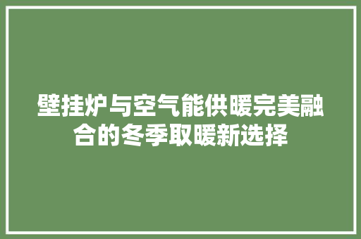 壁挂炉与空气能供暖完美融合的冬季取暖新选择
