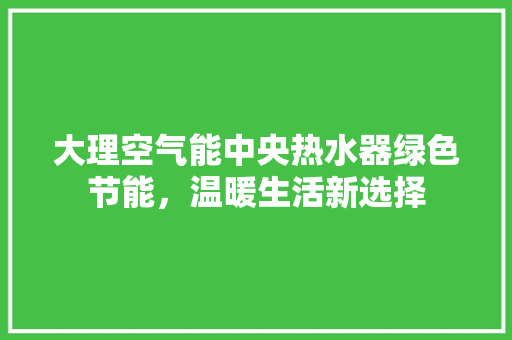 大理空气能中央热水器绿色节能，温暖生活新选择 墙体维修