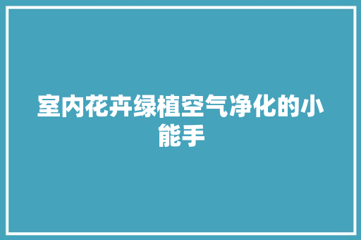 室内花卉绿植空气净化的小能手 汽车维修