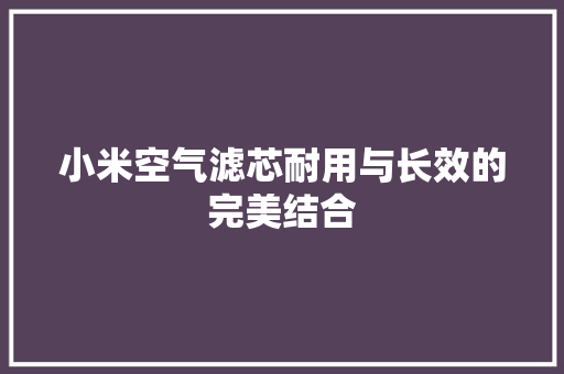 小米空气滤芯耐用与长效的完美结合