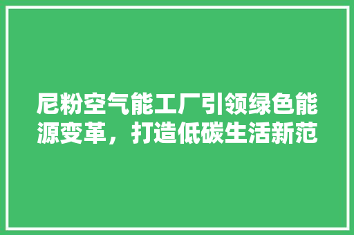 尼粉空气能工厂引领绿色能源变革，打造低碳生活新范式