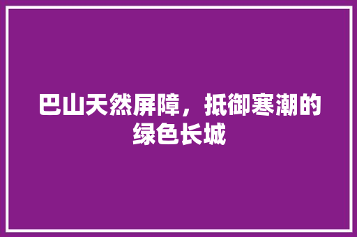 巴山天然屏障，抵御寒潮的绿色长城