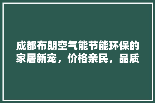 成都布朗空气能节能环保的家居新宠，价格亲民，品质卓越