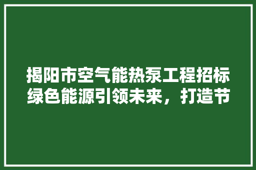 揭阳市空气能热泵工程招标绿色能源引领未来，打造节能减排新标杆